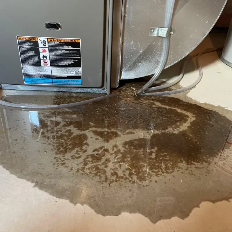 Appliance Leak Cleanup in Alcona County, MI