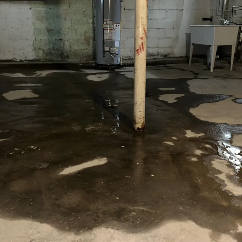 Emergency Water Extraction And Removal in Alcona County, MI